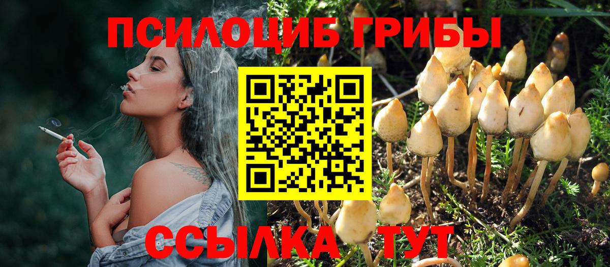 Галлюциногенные грибы мицелий Назарово
